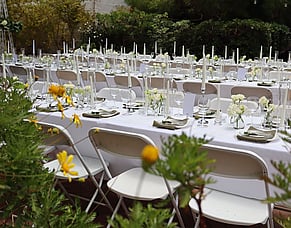 Micro Weddings vs Traditional Weddings: Pros, Costs &amp; What to Choose