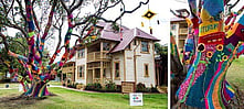 The Arts Village crochet tree