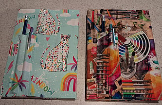 Notebook art by Francis Newman