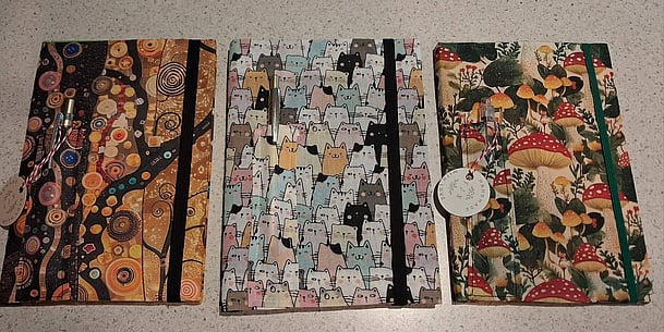 Notebook art by Francis Newman