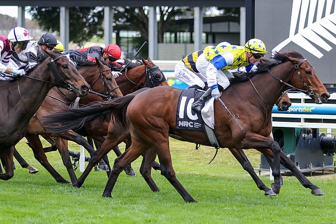 Taka Speed broke through over 2000m with a strong victory in the Remembering Diatribe Handicap at Caulfield.   - Photo: Bruno Cannatelli