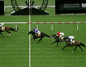 Gutsy Second for Rose Noir at Eagle Farm