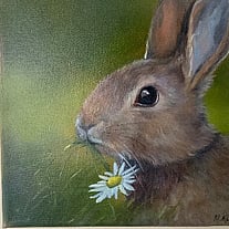 Original oil painting rabbit daisy by Mary Kusabs