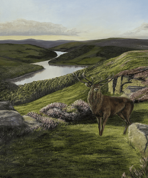 Original oil painting deer by Mary Kusabs
