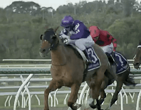 Vin Santo Makes a Winning Start to New Preparation