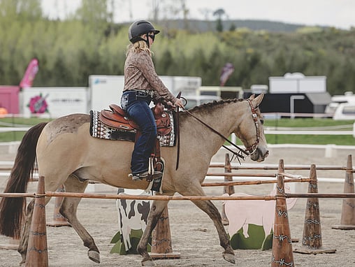 Working Equitation