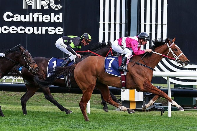 Cosmic Crusader completed the Bletchingly-PB Lawrence double with another impressive victory in the Gr.2 PB Lawrence Stakes (1400m) at Caulfield. - Photo: Bruno Cannatelli