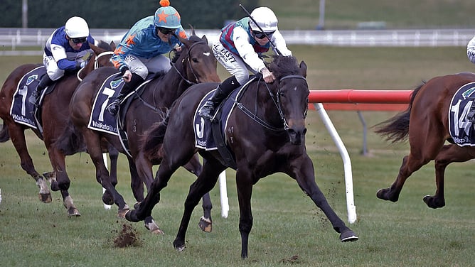 Hawea powering home to win the Listed Chittick Family Fillies Classic (1100m) at Taupo on Sunday. - Photo: Kenton Wright (Race Images NZ)