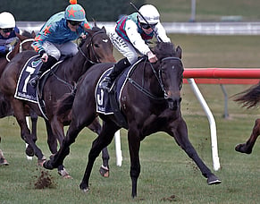 Hawea stunning in fillies&rsquo; feature