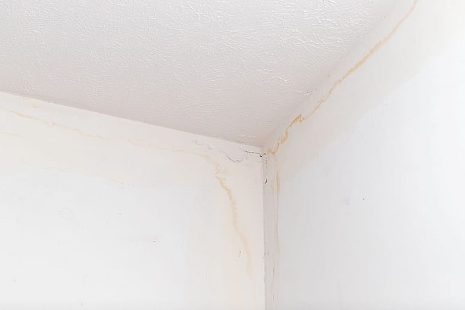 stained wall where roof leak is