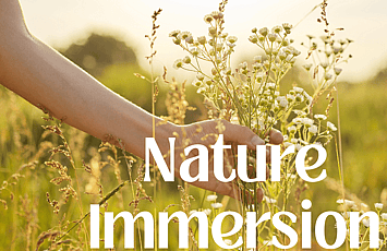 Image of female hand holding flowers in a field with words 'Nature Immersion'