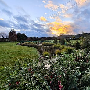 Landscape Designer Hawkes Bay