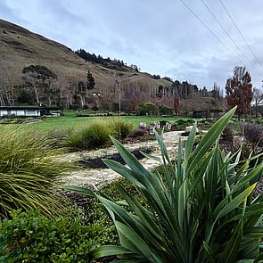Beautiful landscaping