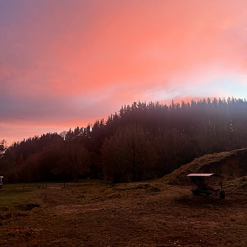 Full day guiding and one night accommodation