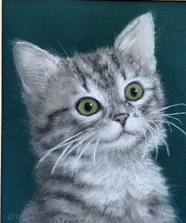 Dianne Surtees Pastel kitten