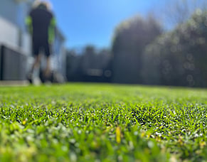 The Benefits of Fertilising Your Lawn This Autumn: A Guide to a Greener, Healthier Lawn