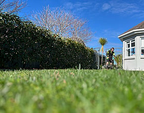 Drought Management for Your Lawn in Papamoa, Mt Maunganui, and Te Puke