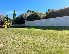 Perfecting Your Lawn Care in Papamoa: Expert Lawn Maintenance Tips