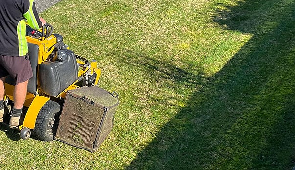 Boosting Your Lawn's Health in Mount Maunganui