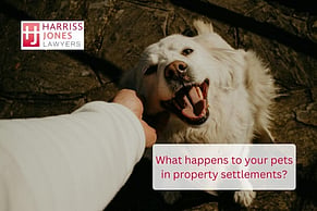 What Happens to Your Pets in Property Settlements?