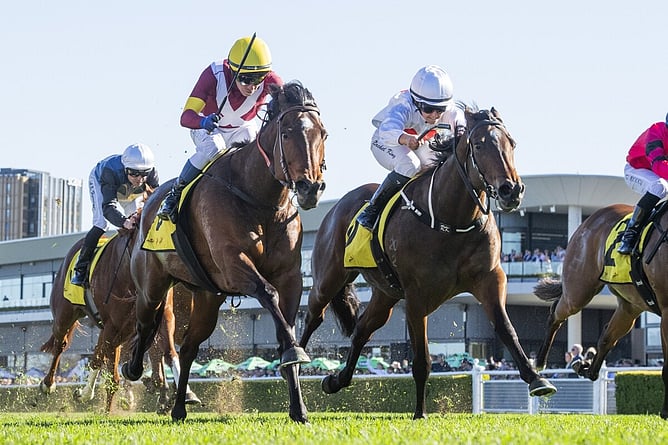 Prima Bella (inside) winning the Gr.3 Toy Show Quality (1100m). - Photo: Bradleyphotos.com.au