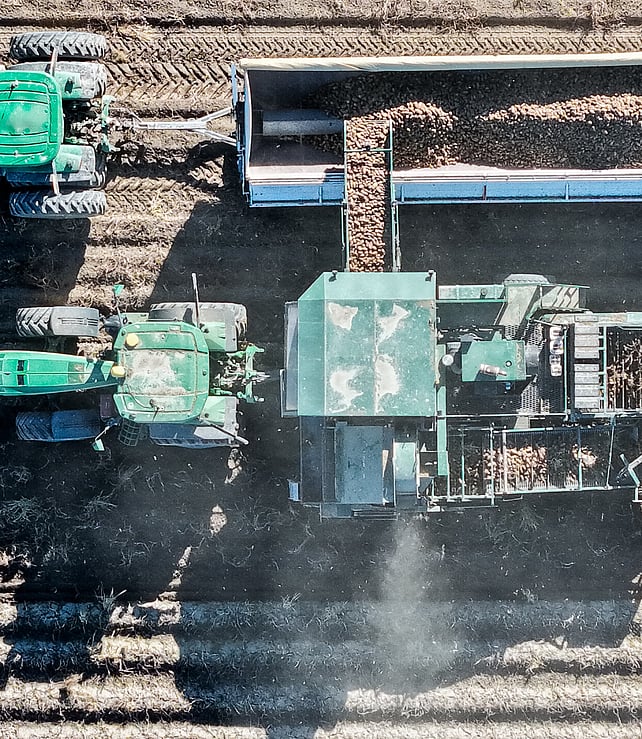Aerial view of potato harvesting on Pye Group's cropping land in Canterbury