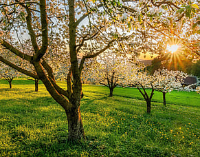 Spring Weather Is Confusing - Your Heat Pump Settings Don&rsquo;t Have to Be
