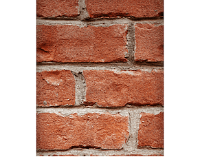 Arbortech Allsaw - repairing bricks and mortar