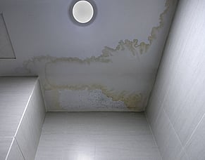The Hidden Causes of Ceiling Water Stains in New Zealand Homes