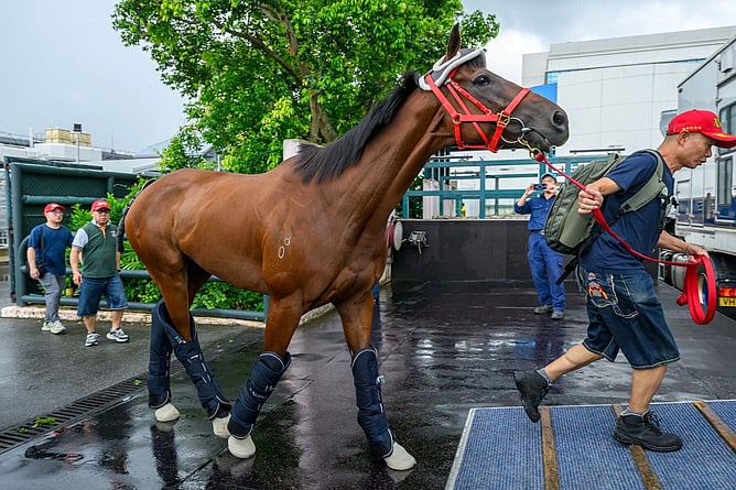 Fast Network departed for Japan on Tuesday - Photo: Hong Kong Jockey Club