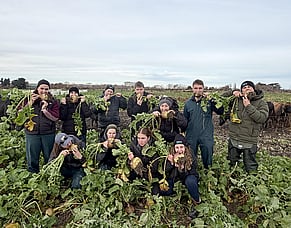 Twenty years of Swede Safari