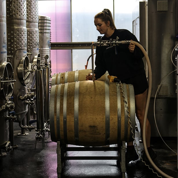 Waiheke Island Vineyard & Winery tour
