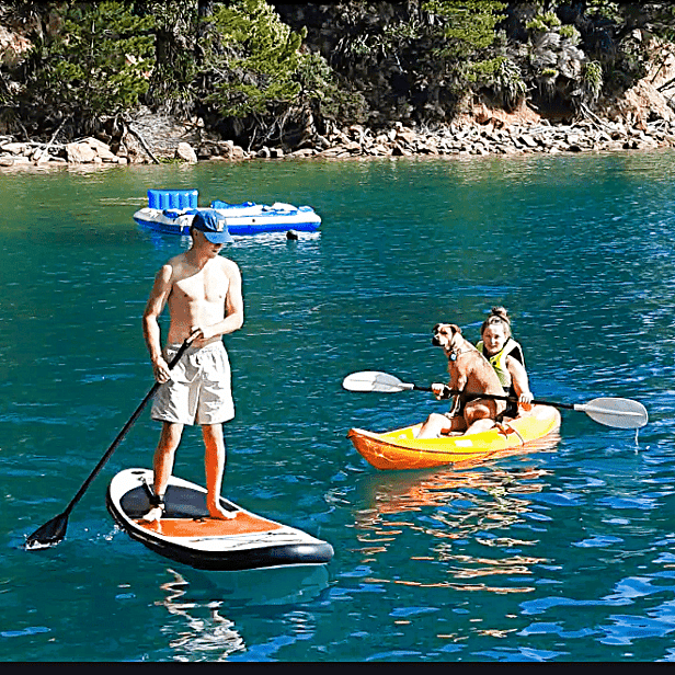 Kayaking & paddleboarding in Endeavour Inlet at Tawa Cove Cabins, Marlborough Sounds