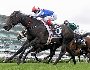 Kiwi clash