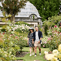 Explore the stunning Botanic Gardens