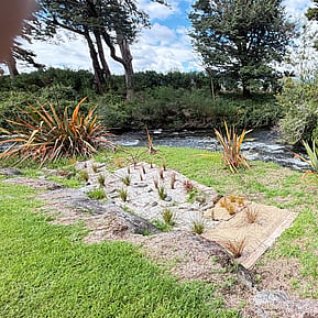 Two Rivers Ohakune - We use cardboard and wool sheeting with local plants