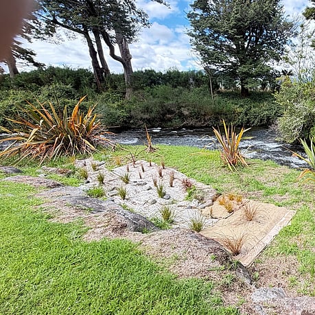 Two Rivers Ohakune - We use cardboard and wool sheeting with local plants