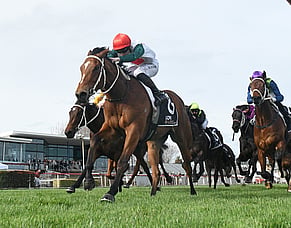 Perfect result for Marsh at Wanganui