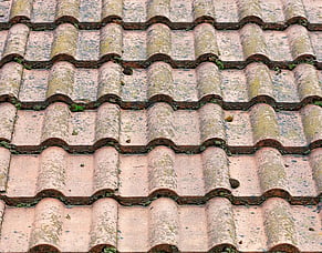 Spring Roof and Gutter Maintenance For Northland Homes