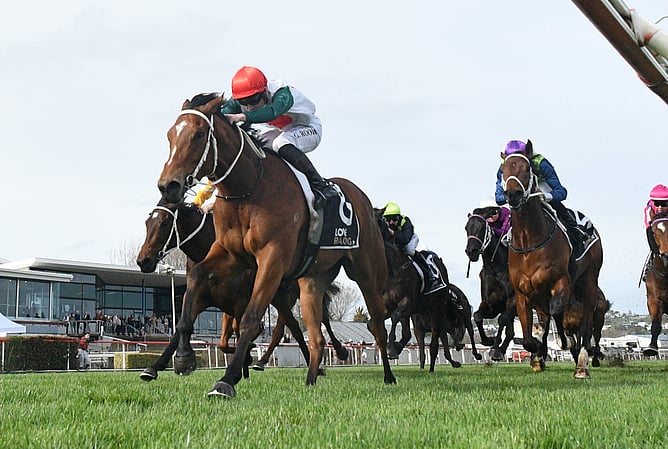 Perfect Chaos winning the Listed Wanganui Guineas (1200m). - Photo: Peter Rubery (Race Images)