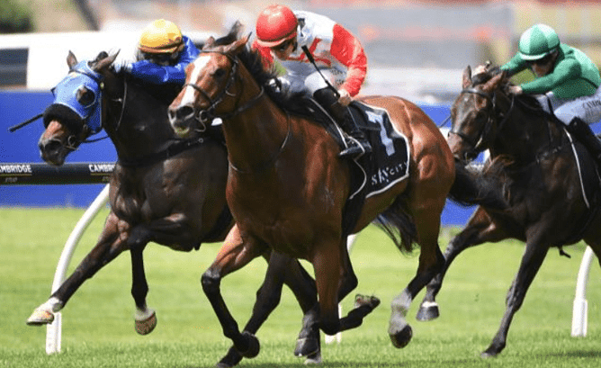 Affirmative Action will bypass Saturday's Gr.1 Proisir Plate (1400m).  - Kenton Wright (Race Images)