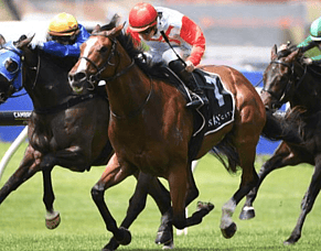 Affirmative Action to bypass Proisir Plate