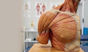Muscle Health & Nervous System Support