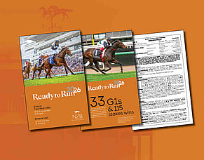 NZB Unveil Unrivalled Ready to Run Sale Catalogue