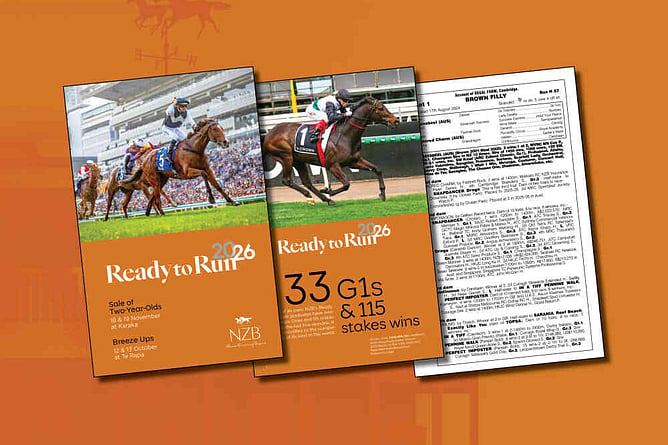460 two-year-olds have been catalogued for the New Zealand Bloodstock Ready To Run Sale - Photo: supplied