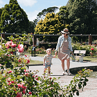 Wellington Botanic Gardens