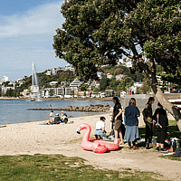 Oriental Bay Freyberg Beach