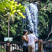 Chinese couple at Curtis Falls, Tamborine Mountain