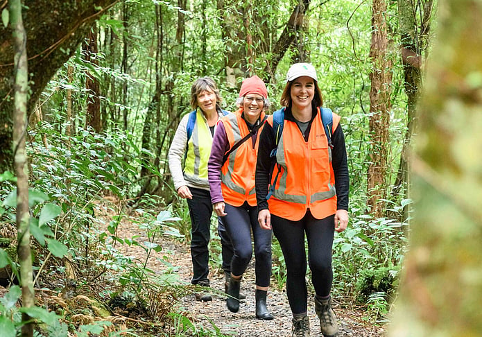 Whakamārama Forest Project volunteers on a forest track