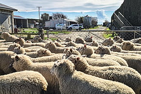 Spring Doesn't Wait: Getting Your Bulk Fuel Sorted Before the Rush